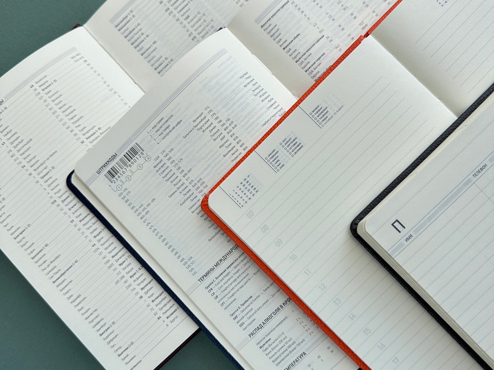 Ежедневник недатированный А5 Megapolis Loft — изображение 11