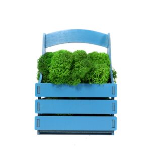 Композиция Корзинка со мхом