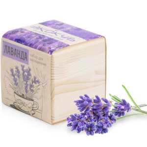 Набор для выращивания Лаванда