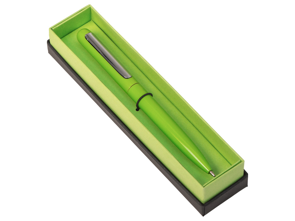 Ручка в футляре Blooming Skate — изображение 2