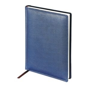 Ежедневник А5 недатированный Leader