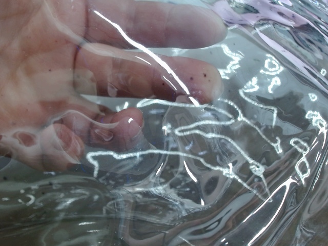 Сумка Frank из прозрачного пластика с регулирующейся лямкой — изображение 7