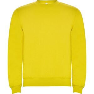 Свитшот с начесом Clasica детский