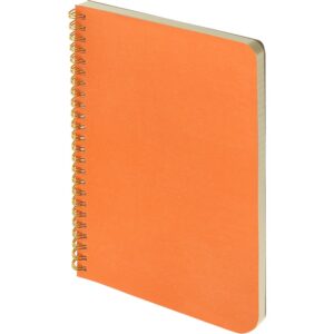 Бизнес тетрадь А5 Pragmatic