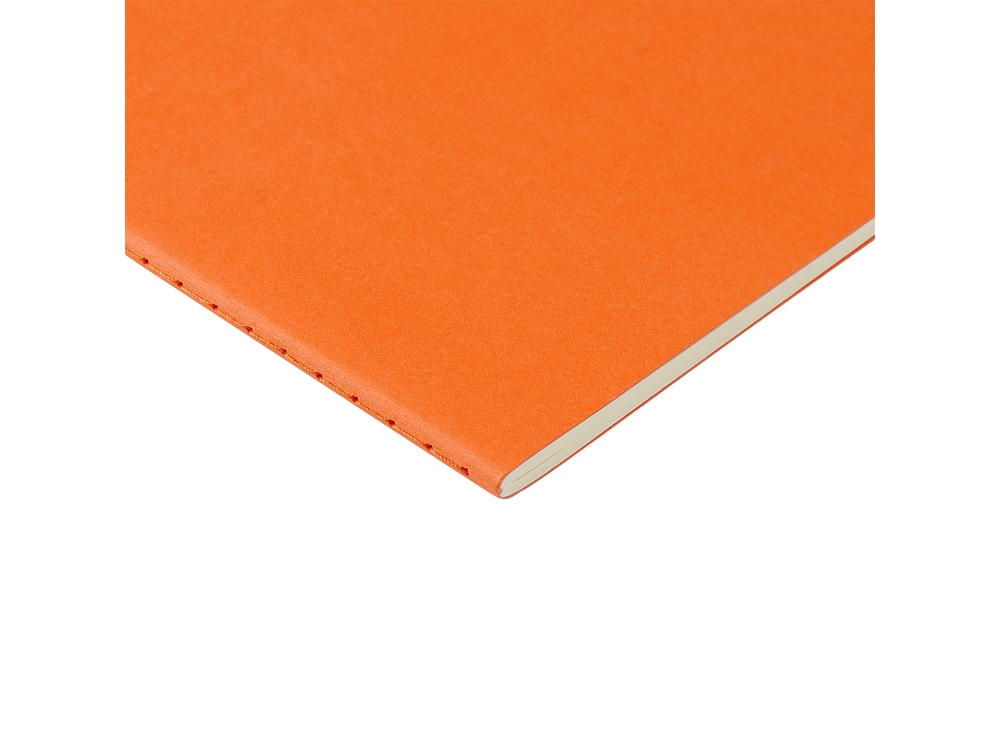 Бизнес тетрадь А5 Pragmatic — изображение 3