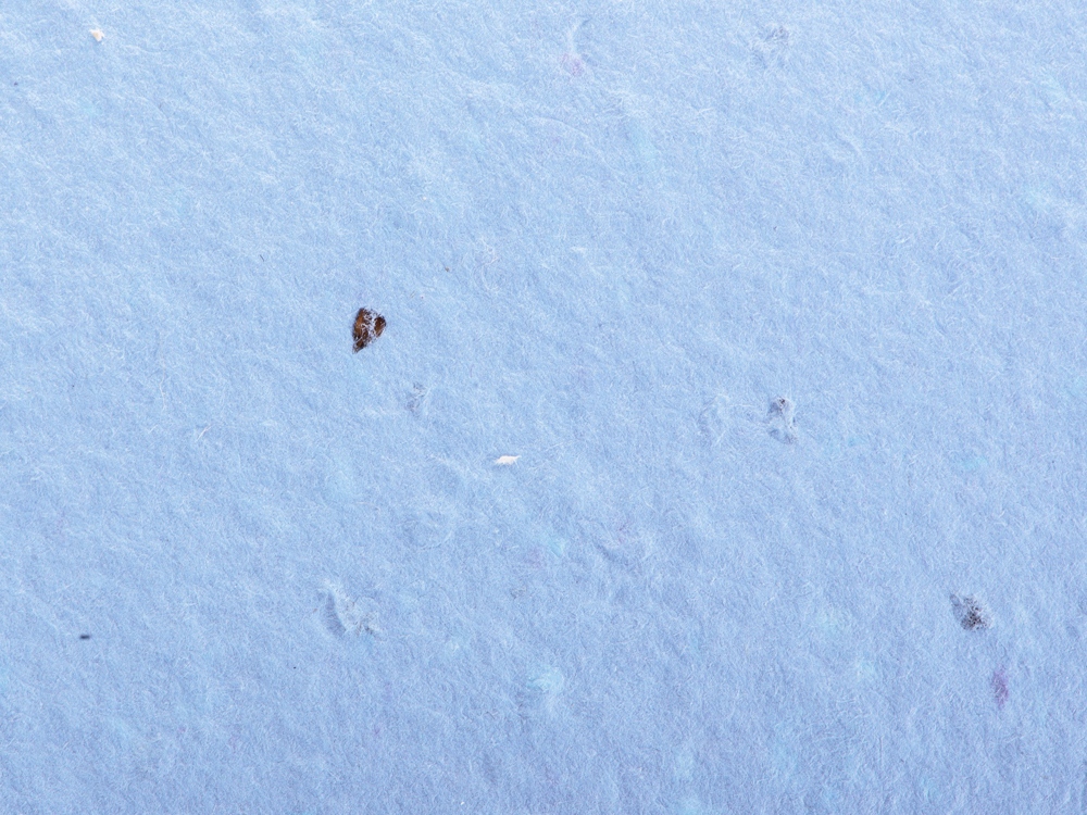 Блокнот А6 с бумажным карандашом и семенами цветов микс — изображение 7