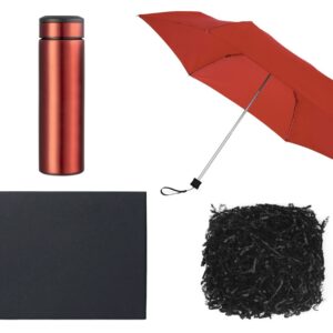 Подарочный набор с зонтом и термосом