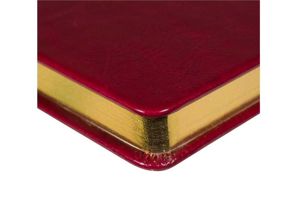 Ежедневник недатированный А5 Megapolis Nebraska — изображение 3