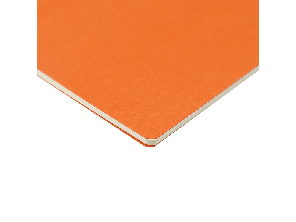 Бизнес-тетрадь А4 Pragmatic — изображение 4