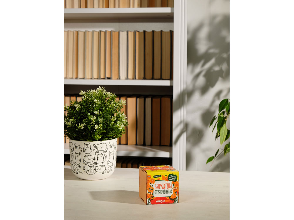 Набор для выращивания Бархатцы — изображение 5