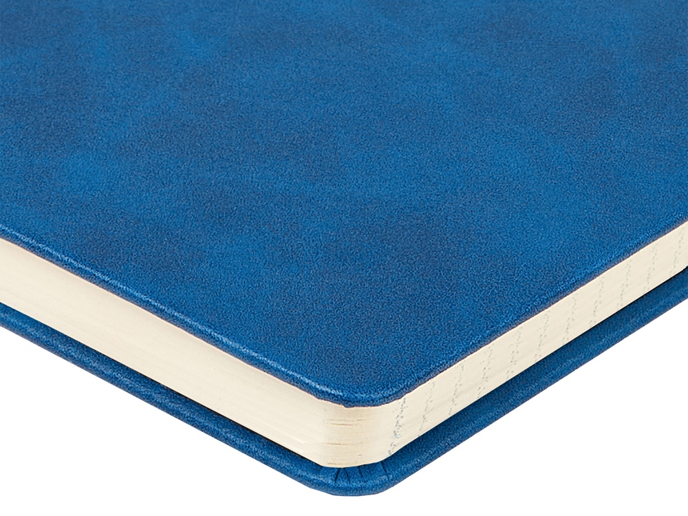 Ежедневник недатированный А5 Megapolis Classic — изображение 5