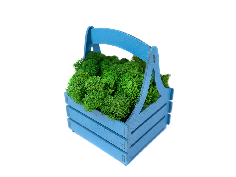 Композиция Корзинка со мхом — изображение 4