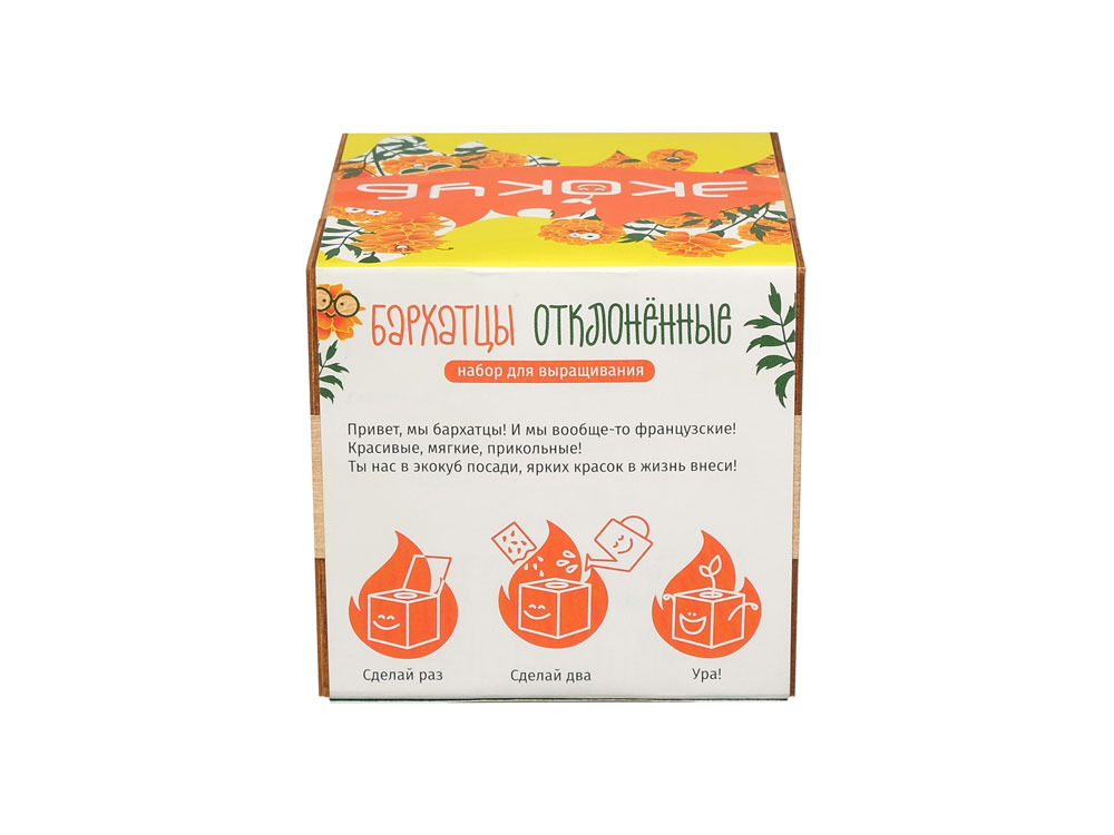 Набор для выращивания Бархатцы — изображение 4