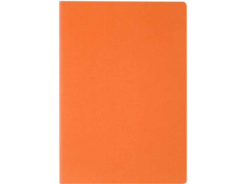 Бизнес-тетрадь А4 Pragmatic — изображение 2