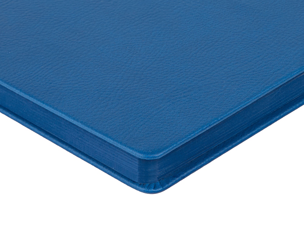 Ежедневник А5 датированный Megapolis Nappa на 2026 — изображение 6