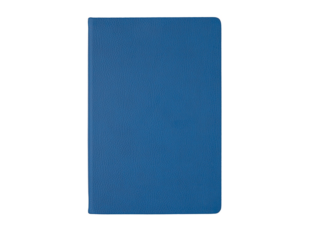 Ежедневник А5 датированный Megapolis Nappa на 2026 — изображение 4