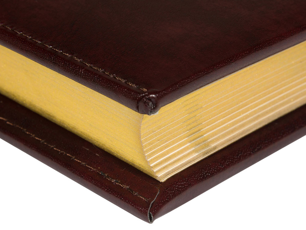 Ежедневник полудатированный А5 Windsor — изображение 7