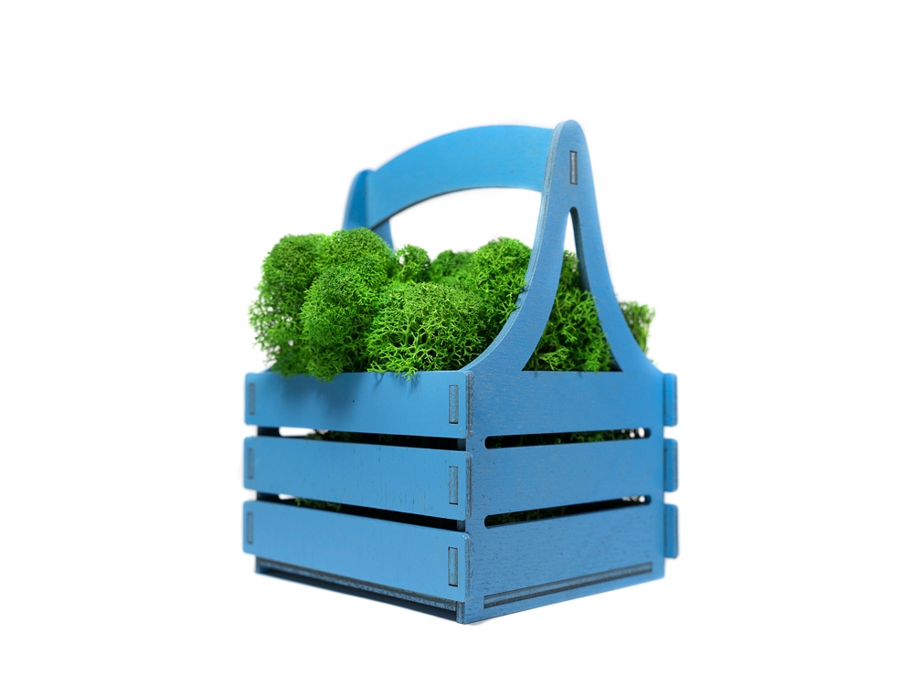 Композиция Корзинка со мхом — изображение 3