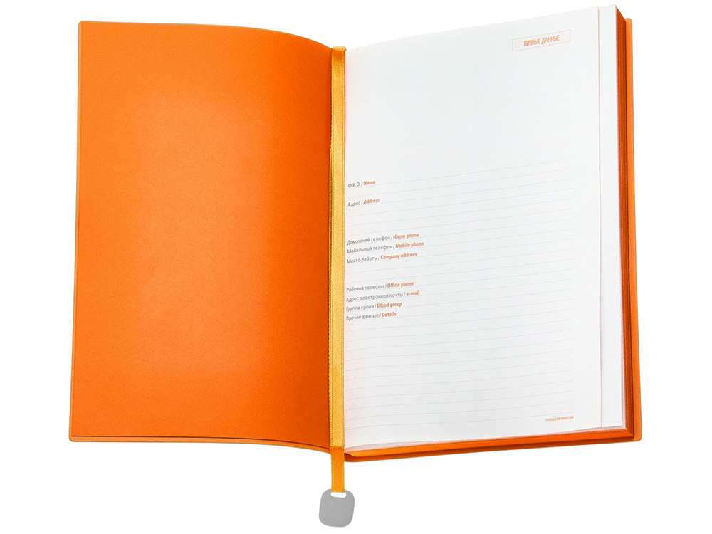 Ежедневник недатированный А5 Mercury — изображение 4