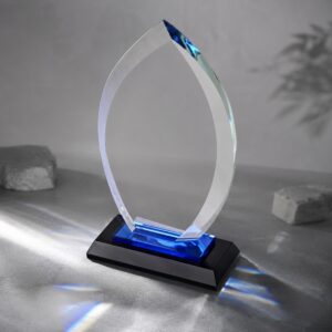 Награда Flame