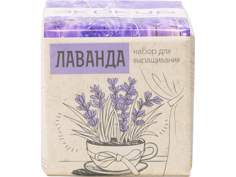 Набор для выращивания Лаванда — изображение 3